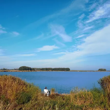 Fischstuebchen Neeberg 4 - Schwalbennest *