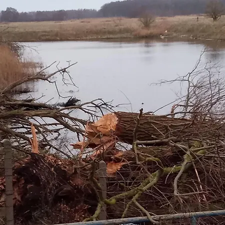 Feriehus Fischstuebchen Neeberg 4 - Schwalbennest Krummin