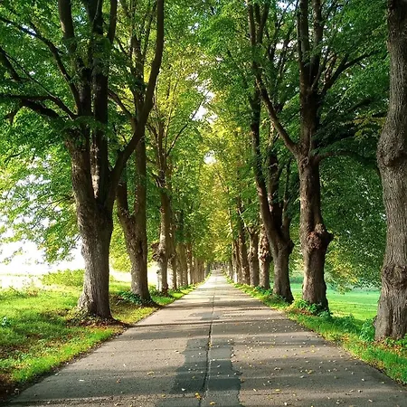 Fischstuebchen Neeberg 4 - Schwalbennest בית נופש