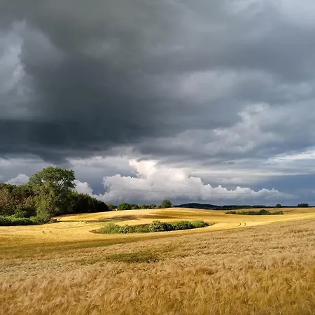 בית נופש Fischstuebchen Neeberg 4 - Schwalbennest *