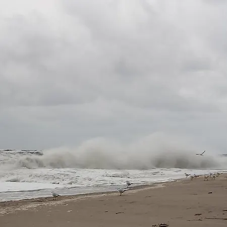 Fischstuebchen Neeberg 4 - Schwalbennest בית נופש Krummin