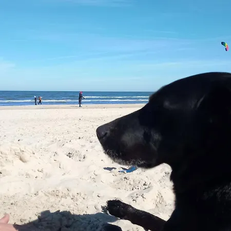 בית נופש Fischstuebchen Neeberg 4 - Schwalbennest Krummin