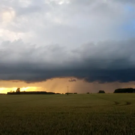Fischstuebchen Neeberg 4 - Schwalbennest