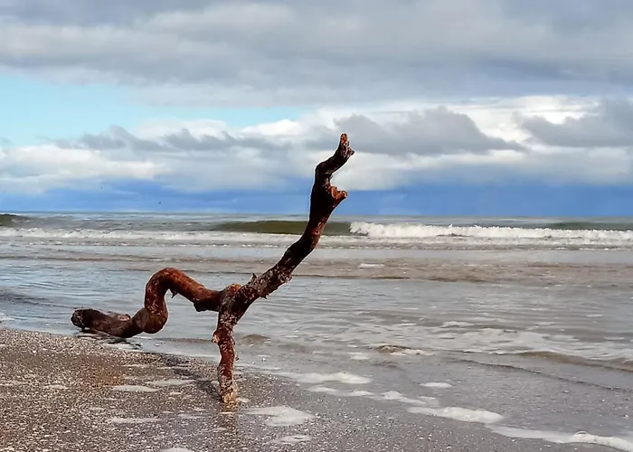 Fischstuebchen Neeberg 4 - Schwalbennest