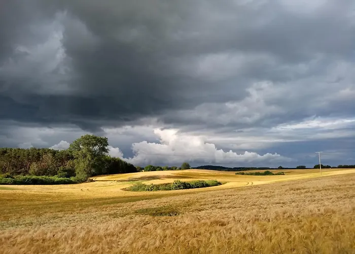 Dom wakacyjny Fischstuebchen Neeberg 4 - Schwalbennest *
