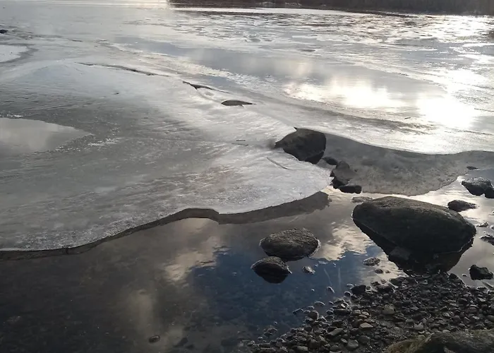 Dom wakacyjny Fischstuebchen Neeberg 4 - Schwalbennest *