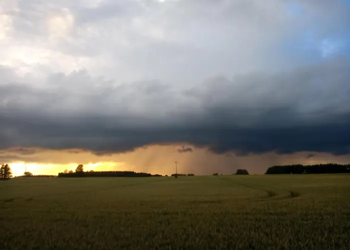 Fischstuebchen Neeberg 4 - Schwalbennest